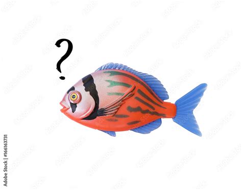 Question about ken's fish .